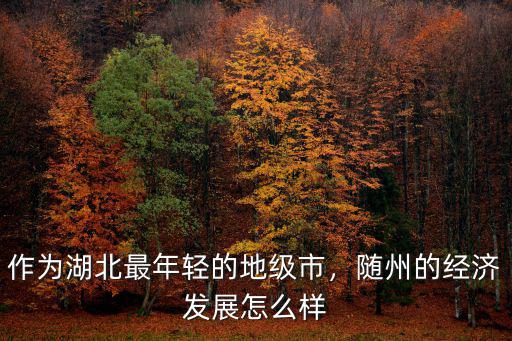 作為湖北最年輕的地級市，隨州的經濟發展怎么樣