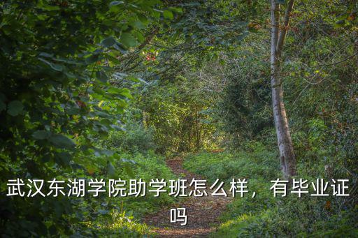 武漢東湖學院助學班怎么樣，有畢業證嗎