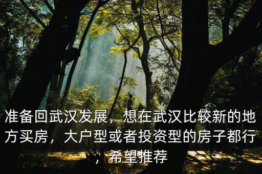 準(zhǔn)備回武漢發(fā)展，想在武漢比較新的地方買(mǎi)房，大戶(hù)型或者投資型的房子都行，希望推薦