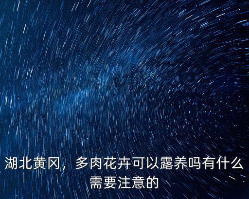 湖北黃岡，多肉花卉可以露養(yǎng)嗎有什么需要注意的