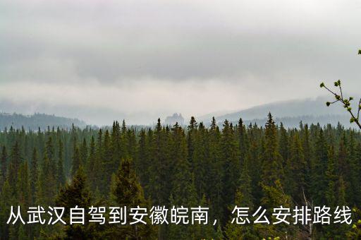 武漢到皖南怎么走最好,從武漢自駕到安徽皖南