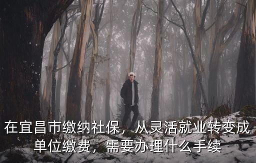 在宜昌市繳納社保，從靈活就業轉變成單位繳費，需要辦理什么手續