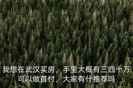 手頭十萬在武漢怎么買房,十萬塊錢怎么買房