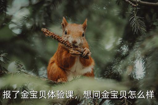 報(bào)了金寶貝體驗(yàn)課，想問金寶貝怎么樣
