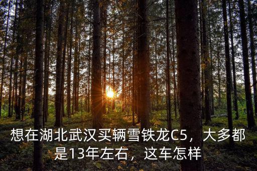 湖北武漢雪鐵龍銷量怎么樣,想在湖北武漢買輛雪鐵龍C5
