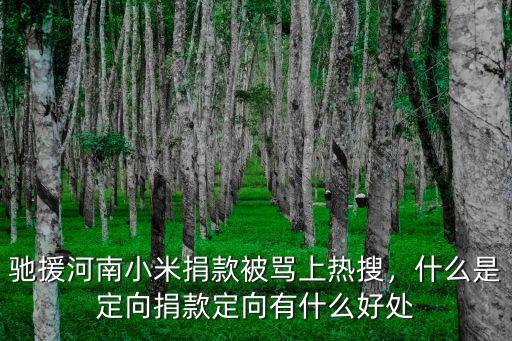 馳援河南小米捐款被罵上熱搜，什么是定向捐款定向有什么好處