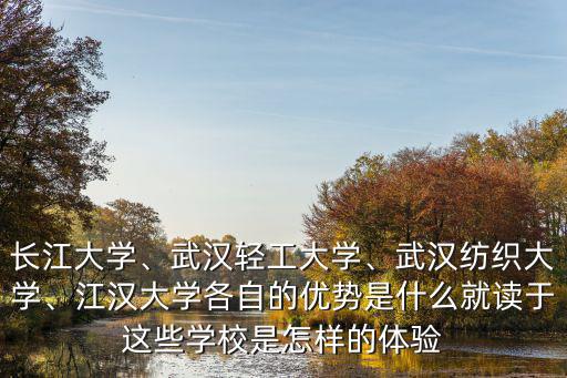武漢輕工大學劉彪怎么樣,武漢輕工大學