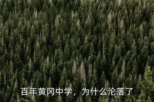 桐城黃岡中學(xué)怎么樣了,衡水中學(xué)超過黃岡中學(xué)了嗎