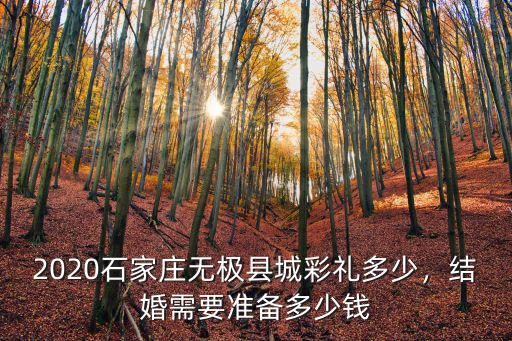 石家莊結婚一般多少錢,石家莊藁城彩禮一般多少錢