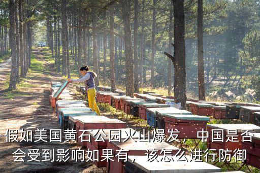 假如美國(guó)黃石公園火山爆發(fā)，中國(guó)是否會(huì)受到影響如果有，該怎么進(jìn)行防御