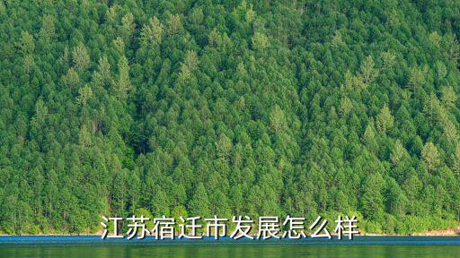 江蘇宿遷放到湖北怎么樣,江蘇宿遷市發展怎么樣