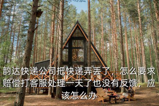 韻達快遞公司把快遞弄丟了，怎么要求賠償打客服處理一天了也沒有反饋，應該怎么辦
