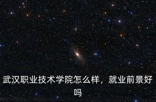 武漢職業技術學院怎么樣，就業前景好嗎