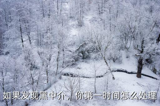 如果發現黑中介，你第一時間怎么處理