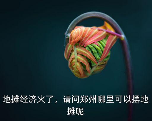 地?cái)偨?jīng)濟(jì)火了，請(qǐng)問(wèn)鄭州哪里可以擺地?cái)偰? class=