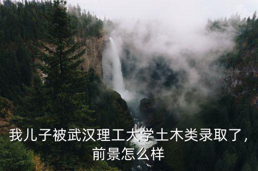 我兒子被武漢理工大學土木類錄取了，前景怎么樣