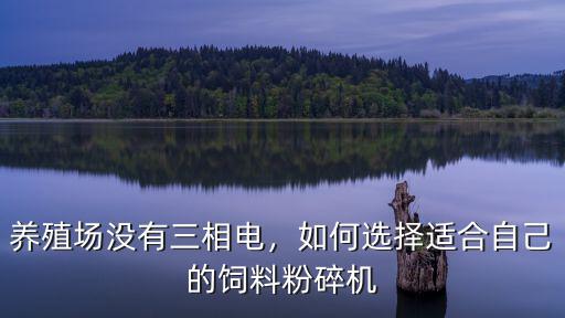 養(yǎng)殖場(chǎng)沒(méi)有三相電，如何選擇適合自己的飼料粉碎機(jī)