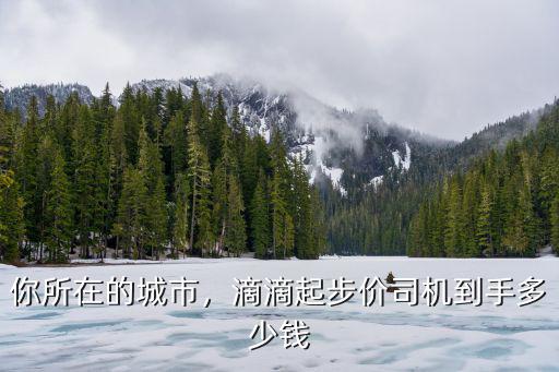 邯鄲滴滴起步價是多少錢,滴滴起步價司機到手多少錢