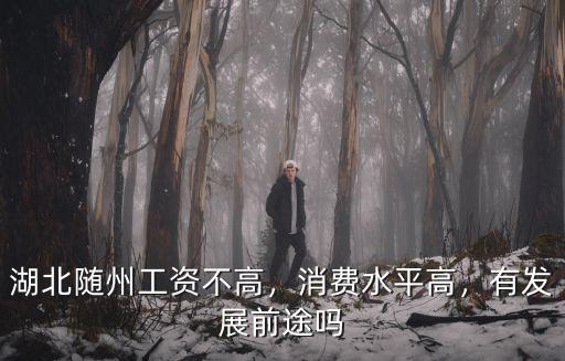 湖北隨州工資不高，消費水平高，有發展前途嗎