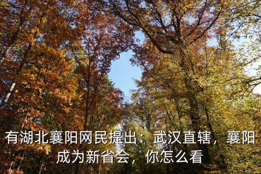 有湖北襄陽網民提出：武漢直轄，襄陽成為新省會，你怎么看