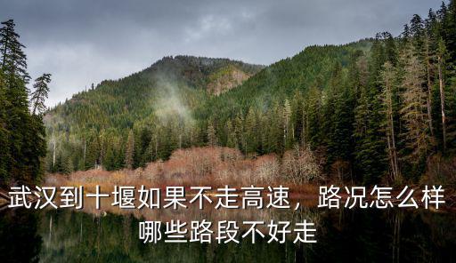 武漢到十堰如果不走高速，路況怎么樣哪些路段不好走