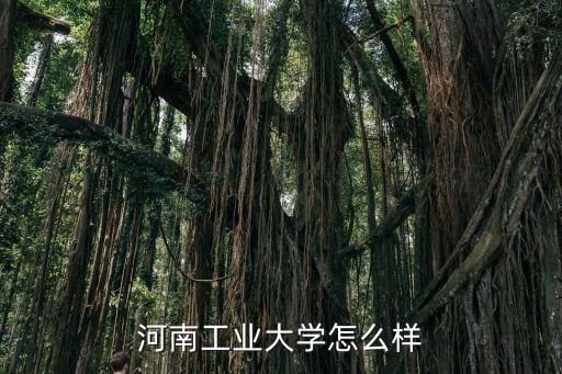 河南工業(yè)大學(xué)怎么樣