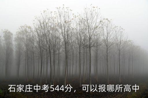 石家莊中考544分，可以報哪所高中