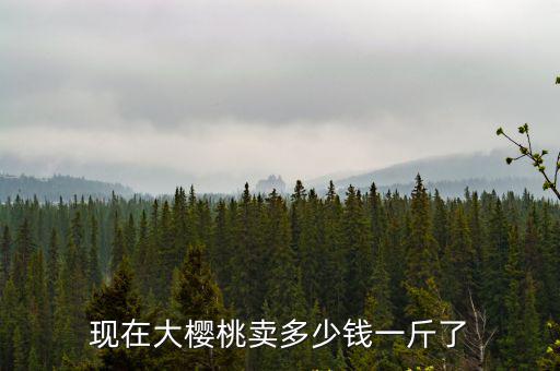 現在大櫻桃賣多少錢一斤了