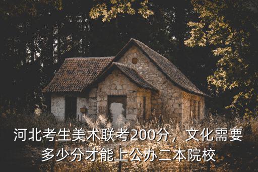 河北省美術(shù)聯(lián)考多少上本科,河北美術(shù)聯(lián)考249分