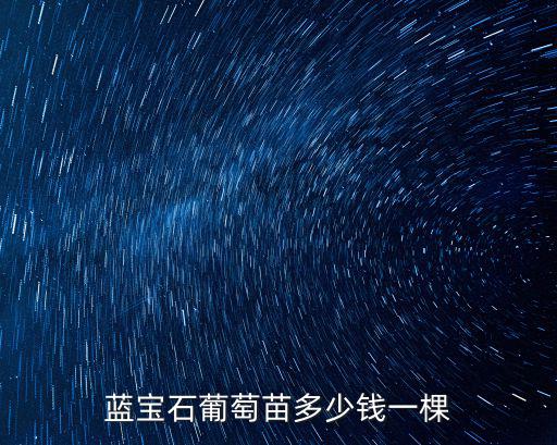 藍寶石葡萄苗河南哪里買,怎樣可以買到藍寶石葡萄苗