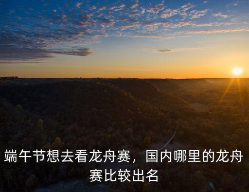端午節(jié)想去看龍舟賽，國(guó)內(nèi)哪里的龍舟賽比較出名