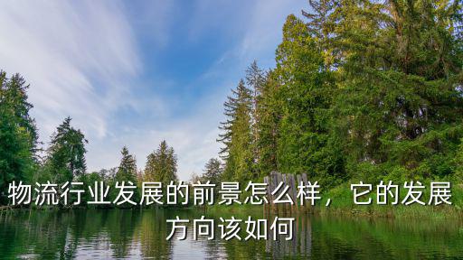 物流行業發展的前景怎么樣，它的發展方向該如何