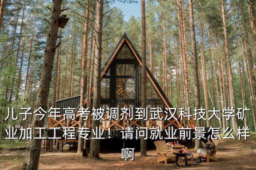 武漢凌安科技系統工程師怎么樣,武漢科技大學怎么樣