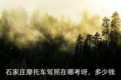 石家莊駕校多少錢大概多少錢,在石家莊考駕照需要多少錢