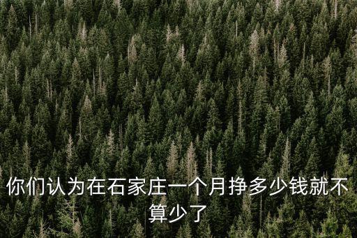 你們認(rèn)為在石家莊一個(gè)月掙多少錢(qián)就不算少了