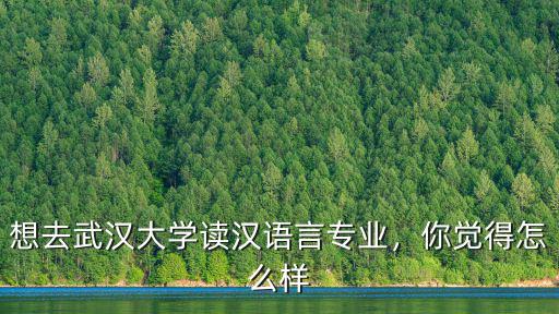 想去武漢大學讀漢語言專業，你覺得怎么樣