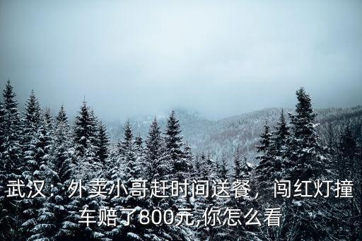 武漢：外賣小哥趕時間送餐，闖紅燈撞車賠了800元,你怎么看