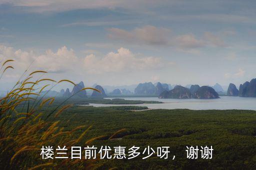 樓蘭目前優惠多少呀，謝謝