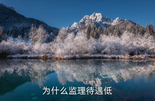 為什么監理待遇低