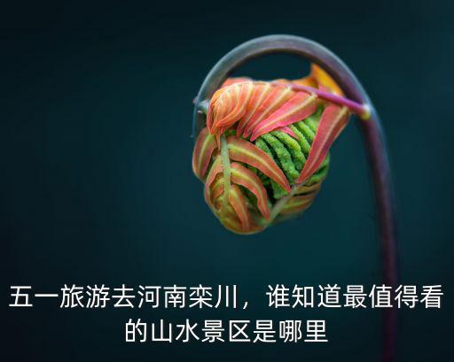 五一旅游去河南欒川，誰(shuí)知道最值得看的山水景區(qū)是哪里