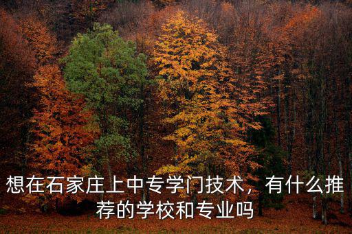 石家莊中專一般多少分,石家莊哪個中專學(xué)校比較好