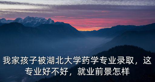 我家孩子被湖北大學藥學專業錄取，這專業好不好，就業前景怎樣