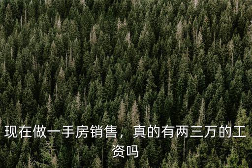 現(xiàn)在做一手房銷售，真的有兩三萬的工資嗎