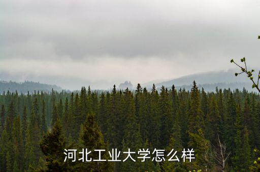 河北工業大學怎么樣