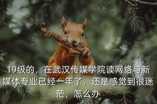 19級的，在武漢傳媒學院讀網絡與新媒體專業已經一年了，還是感覺到很迷茫，怎么辦