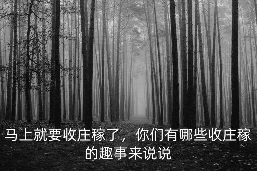 湖北農(nóng)村莊稼怎么收,馬上就要收莊稼了