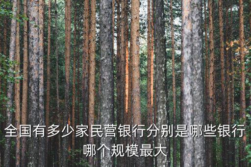 保定有多少家民營銀行,全國有多少家民營銀行