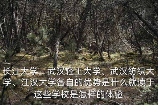 武漢輕工大學的食品研究生怎么樣,湖北的武漢輕工大學怎么樣
