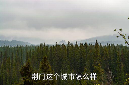 荊門這個城市怎么樣