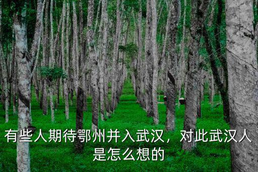 有些人期待鄂州并入武漢，對(duì)此武漢人是怎么想的